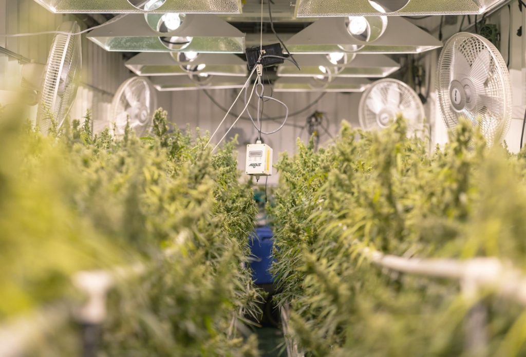 Cannabis Equipment Financing: What Is It and the Benefits?